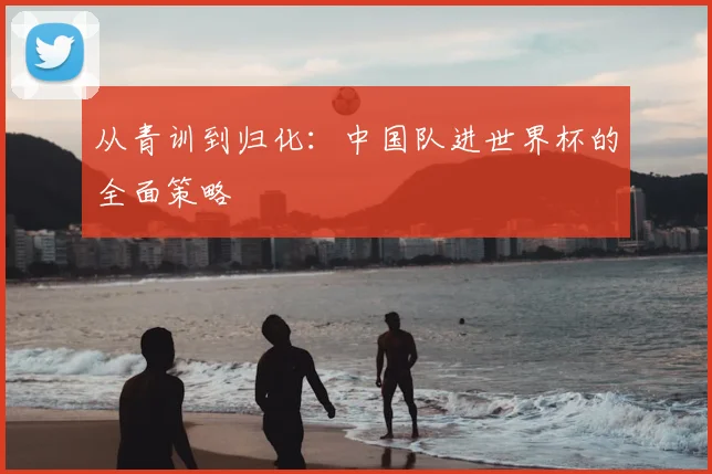从青训到归化:中国队进世界杯的全面策略